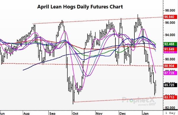 Today in Lean Hogs 1-20-2023 - Total Farm Marketing by Stewart-Peterson