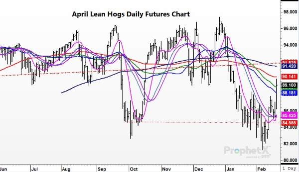 Today in Lean Hogs 02-21-2023 - Total Farm Marketing by Stewart-Peterson